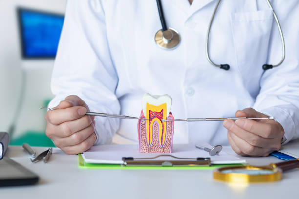 Best Tooth Pain Emergency Relief  in Goliad, TX
